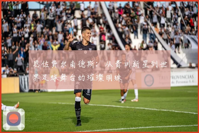 恩佐费尔南德斯：从青训新星到世界足球舞台的璀璨明珠