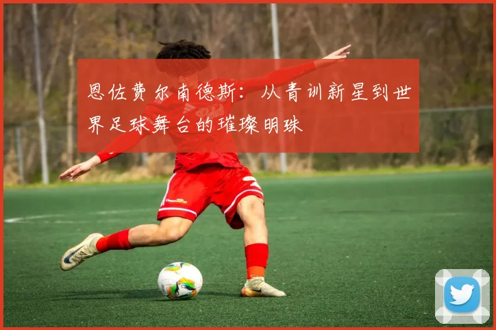 恩佐费尔南德斯：从青训新星到世界足球舞台的璀璨明珠