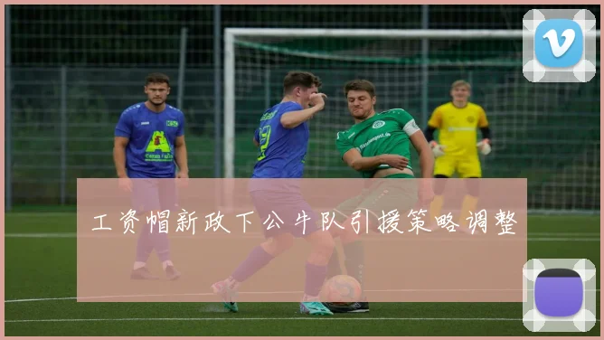 工资帽新政下公牛队引援策略调整
