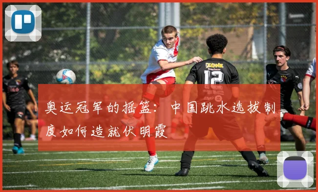 奥运冠军的摇篮：中国跳水选拔制度如何造就伏明霞